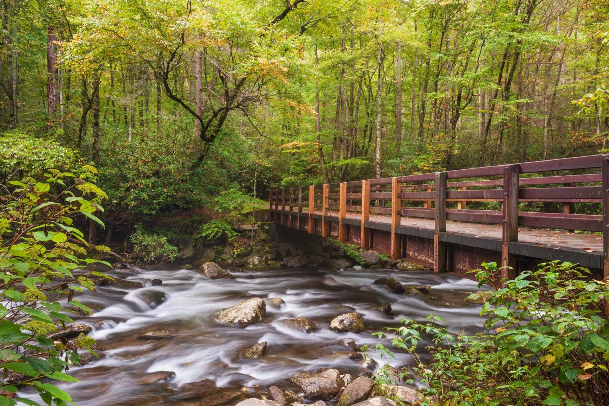 Breathtaking View, Hot Tub, 1089 Of Free Attraction Tickets For Each Paid Day, Dollywood And More! Sevierville Kültér fotó